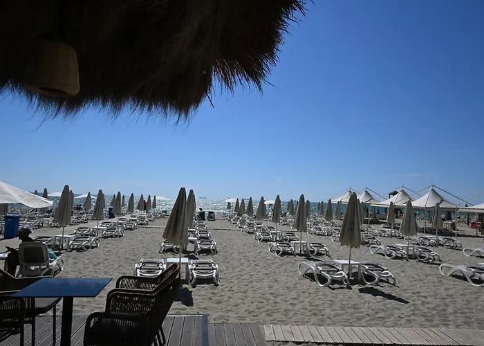 Luxury Premium Finese